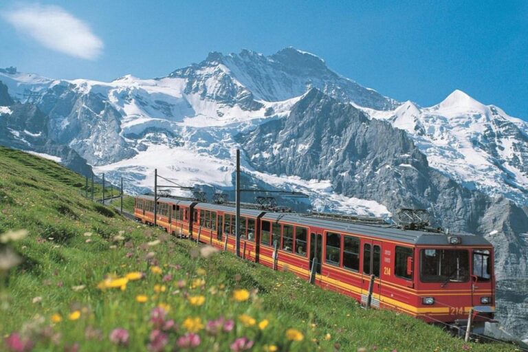 From Zurich: Jungfraujoch Guided Day Tour With Cogway Train