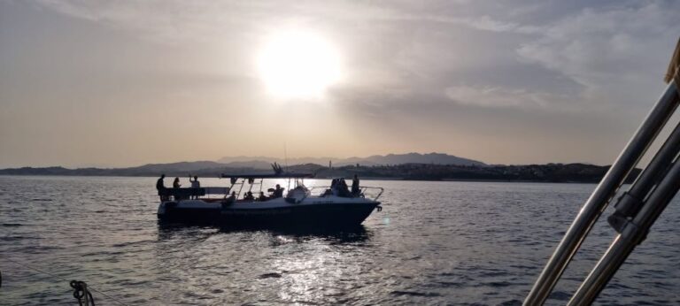 Fuengirola: Fantastic Dolphin Watching Yacht Tour