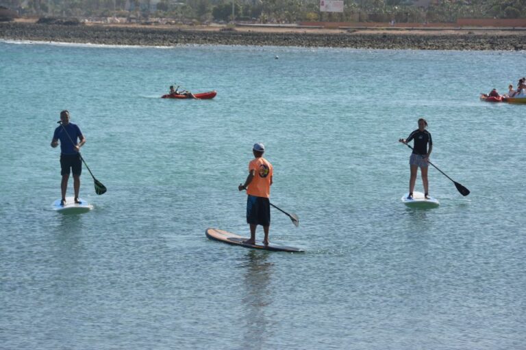 Fuerteventura: 1.5-Hour SUP Course – Caleta De Fuste