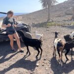 1 fuerteventura buggy tour in the south of the island Fuerteventura : Buggy Tour in the South of the Island