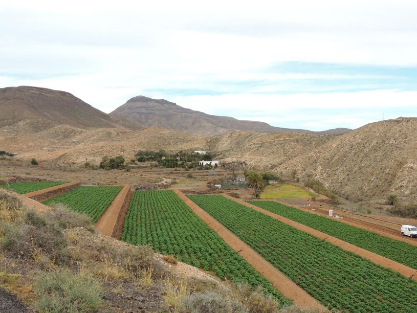 1 fuerteventura island highlights guided sightseeing tour Fuerteventura: Island Highlights Guided Sightseeing Tour