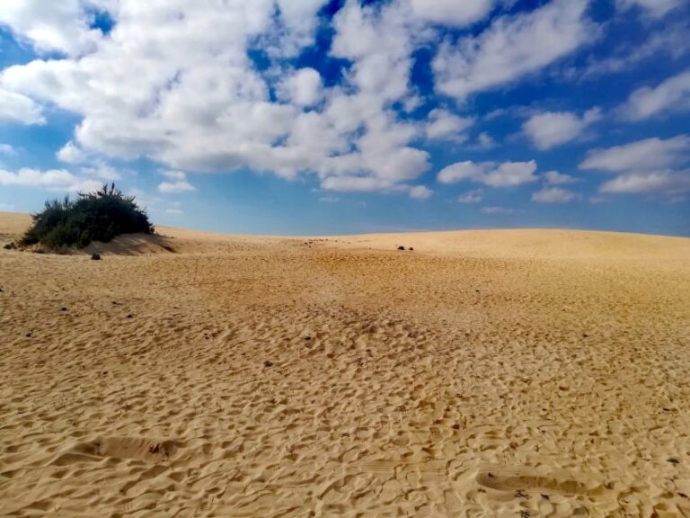 Fuerteventura: North of Fuerteventura for Cruise Passengers