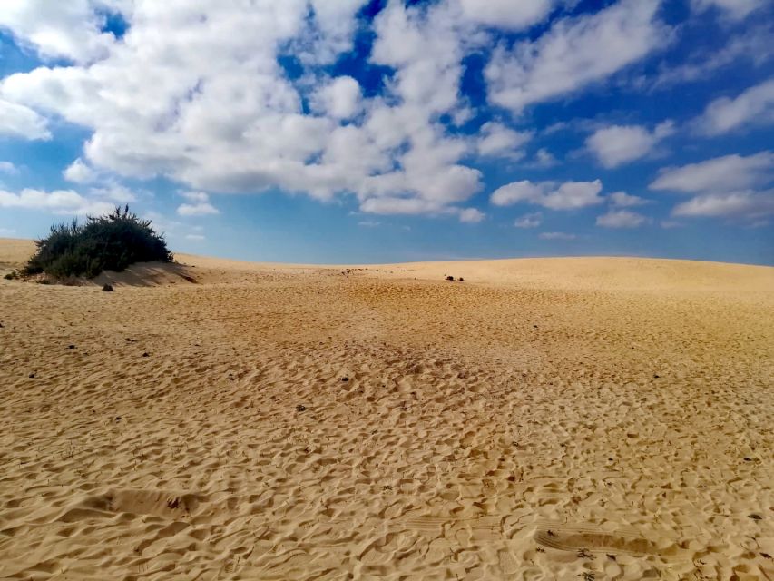 1 fuerteventura north of fuerteventura for cruise passengers Fuerteventura: North of Fuerteventura for Cruise Passengers