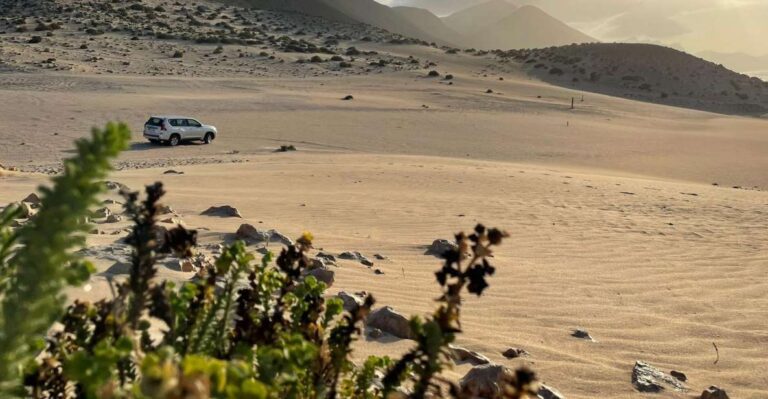Fuerteventura: Southern Island Sand Dunes & Sunset Jeep Tour