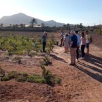 1 fuerteventura tapas and local life guided tour Fuerteventura: Tapas and Local Life Guided Tour
