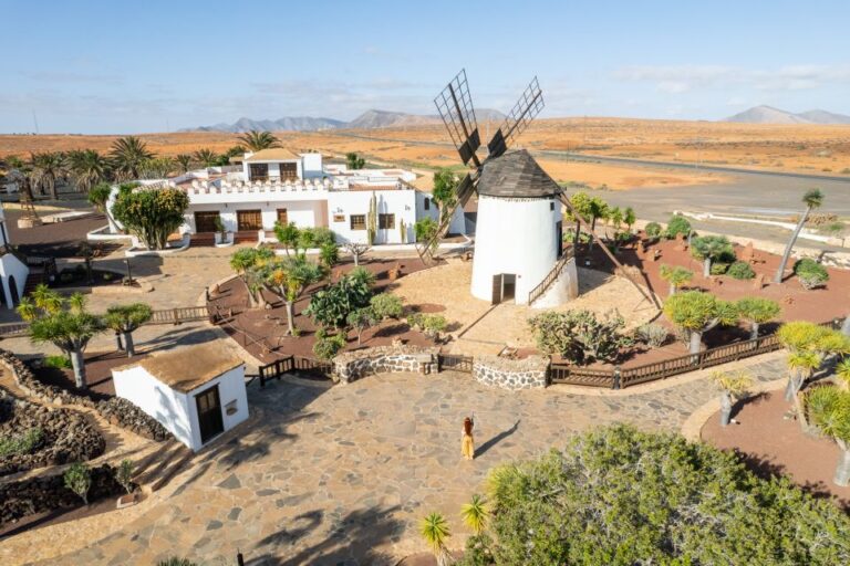 Fuerteventura: Tickets to Salt, Cheese and Windmill Museums