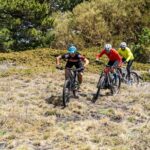 1 full circuit of etna by mtb small group Full Circuit of Etna by MTB Small Group