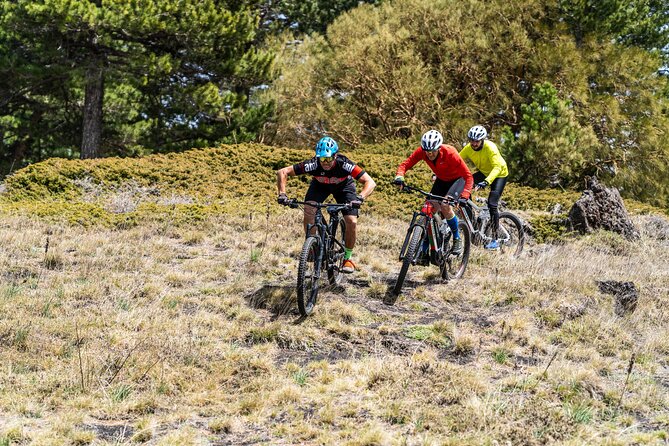 Full Circuit of Etna by MTB Small Group
