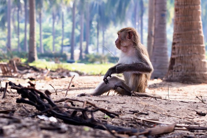 FULL-DAY CAN GIO – MONKEY ISLAND EXCURSION From HO CHI MINH CITY