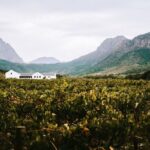 1 full day franschhoek wine tour from cape town Full-Day Franschhoek Wine Tour From Cape Town