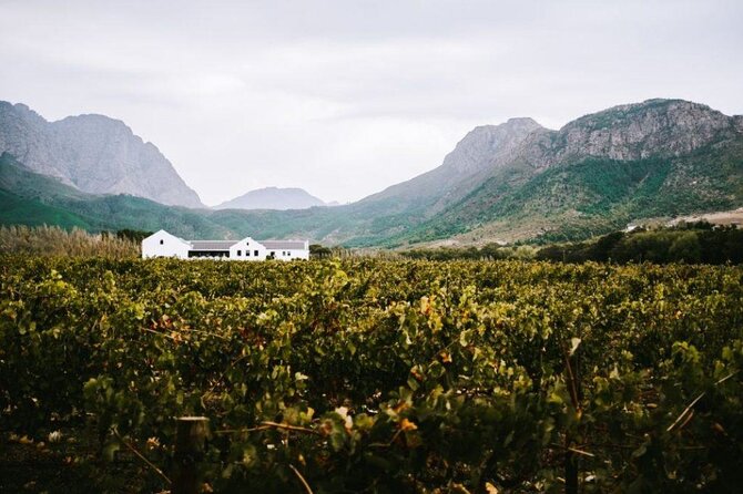 1 full day franschhoek wine tour from cape town Full-Day Franschhoek Wine Tour From Cape Town
