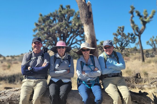 Full Day Hike in Joshua Tree National Park