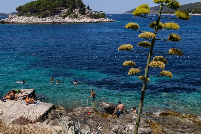 Full-Day Hvar & Pakleni Islands Speedboat Private Tour From Split