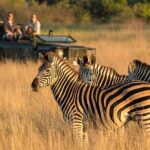 1 full day isimangaliso wetlands game with boat cruise from durban Full Day Isimangaliso Wetlands Game With Boat Cruise From Durban
