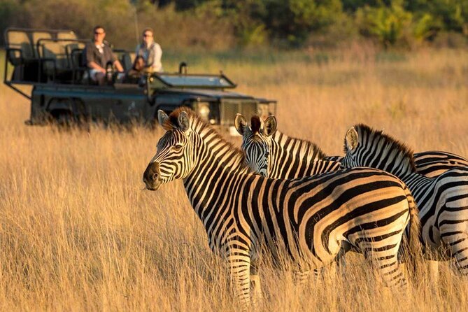 Full Day Isimangaliso Wetlands Game With Boat Cruise From Durban