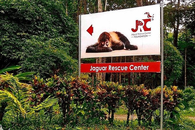 Full-Day Jaguar Rescue Center and Cahuita National Park Tour