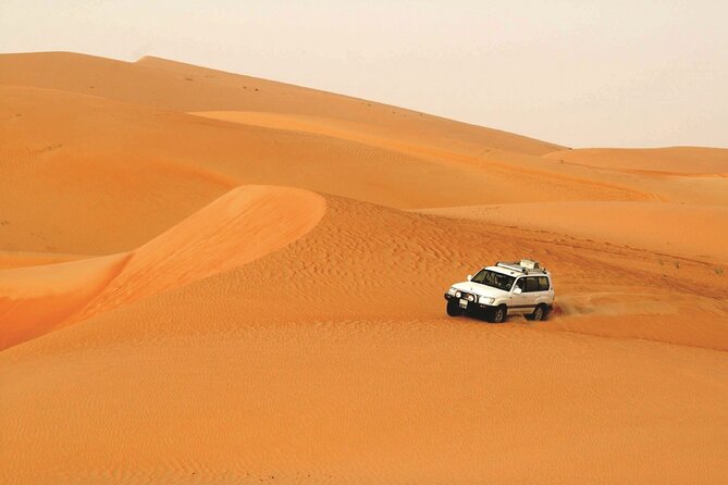 Full Day LIWA 4×4 Safari With Lunch Included From Abu Dhabi