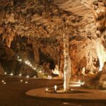 1 full day oudtshoorn guided group tour george Full-Day Oudtshoorn Guided Group Tour - George