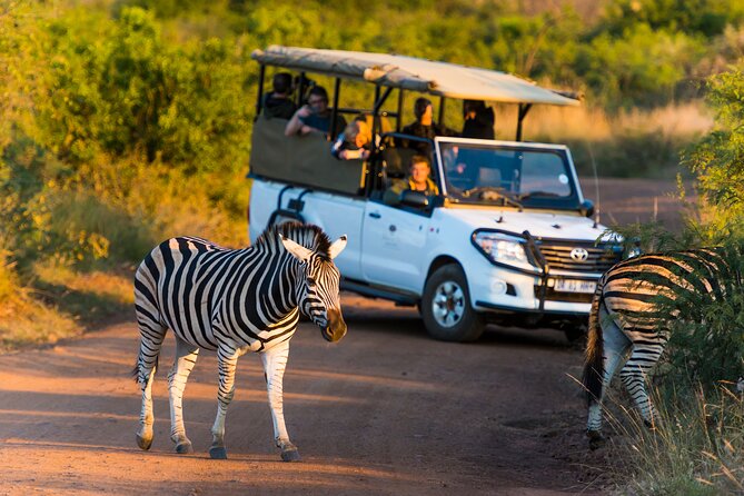 Full Day Pilanesberg Safari Adventure
