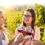 1 full day private chateauneuf du pape wine tour from avignon Full-Day Private Chateauneuf Du Pape Wine Tour From Avignon