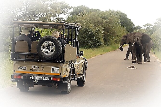 Full Day Private Kruger Park Safari