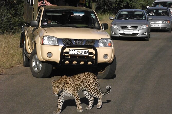 Full Day Safari Shared Tour at Kruger National Park