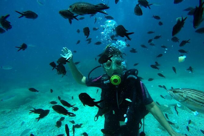 1 full day scuba diving experience in alanya with lunch and pick up Full-Day Scuba Diving Experience in Alanya With Lunch and Pick Up