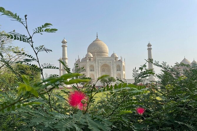 Full Day SOS Wildlife Sanctuary With Sunrise at Taj Mahal