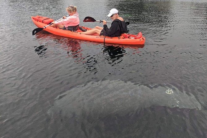 Full Day Tandem Kayak Rental For Two People In Crystal River, Florida