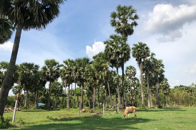 Full-Day to Chau Doc Town and Tra Su Forest in Vietnam