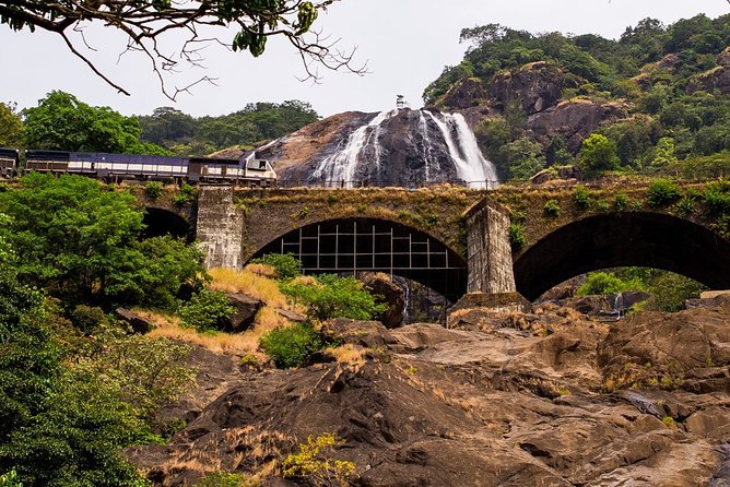 Full-Day Tour Old Goa Dudhsagar Falls and Spice Plantation