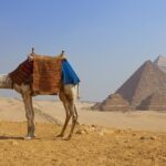 1 full day tour to giza pyramids egyptian museum and khan khalili Full Day Tour To Giza Pyramids Egyptian Museum and Khan Khalili