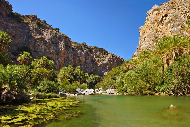 Full-Day Tour to Preveli Palm Beach From Chania