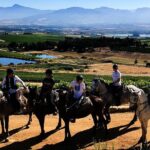 1 full day wine tasting horse trail Full Day – Wine Tasting Horse Trail