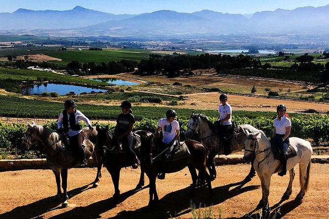 Full Day – Wine Tasting Horse Trail