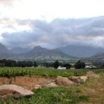 1 full day wine tour from stellenbosch Full-Day Wine Tour From Stellenbosch