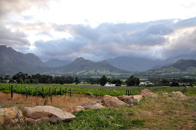 Full-Day Wine Tour From Stellenbosch