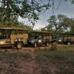 1 fullday gamedrives in kruger national park from marlothpark Fullday Gamedrives in Kruger National Park From Marlothpark