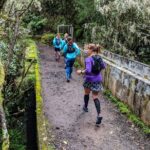 1 funchal half day trail running small group tour Funchal Half-Day Trail Running Small-Group Tour