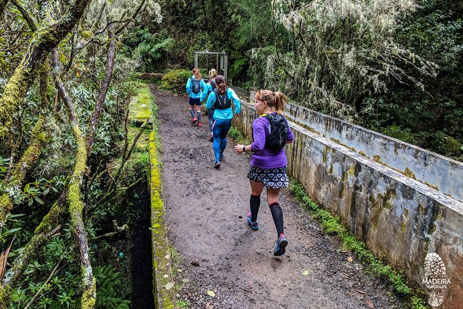 1 funchal half day trail running small group tour Funchal Half-Day Trail Running Small-Group Tour