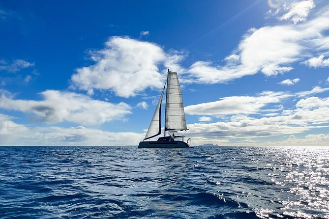 Funchal: Luxury Catamaran Sunset Cruise