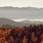 1 gatlinburg app based great smoky mountains park audio guide Gatlinburg: App-Based Great Smoky Mountains Park Audio Guide
