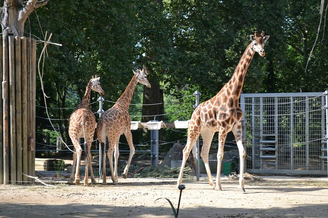 Gdansk: Oliwa Zoo With Private Transport and Tickets