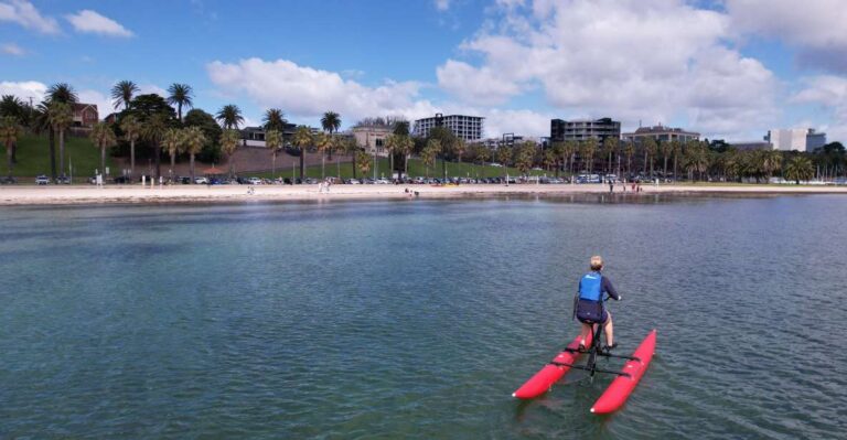 Geelong: Water Bike Coastal Tour