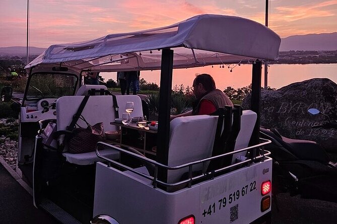 Geneva: Sightseeing of Top Places Tour Electric Tuktuk 1H Tour