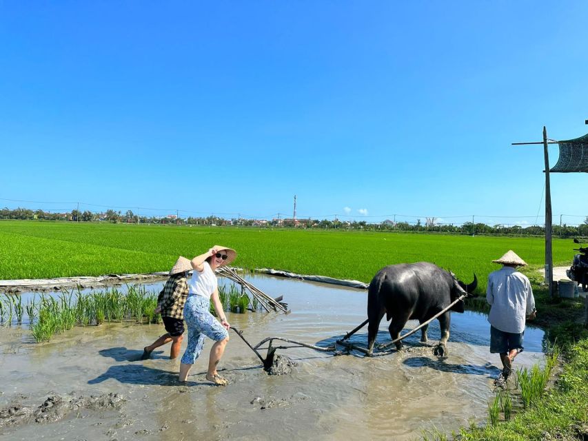 Get Close to Farmers