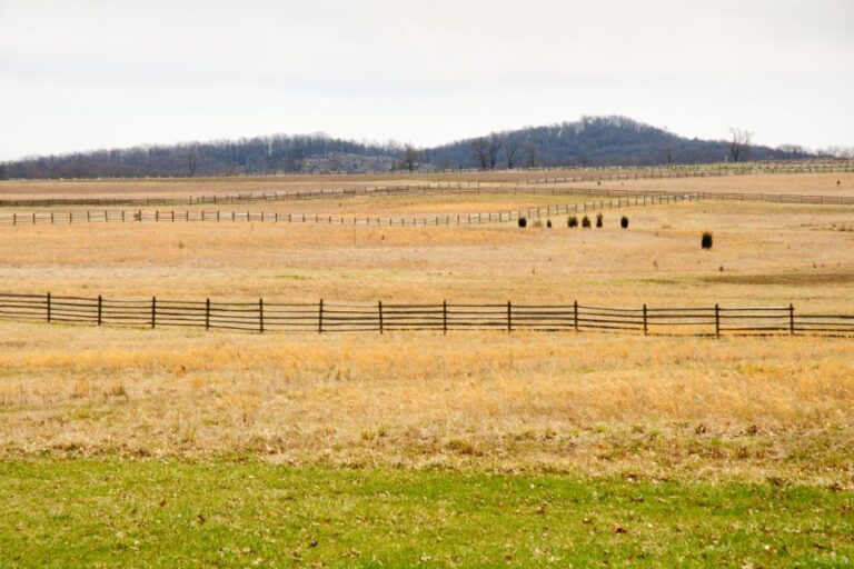 Gettysburg: Seminary Ridge Self-Guided Walking Tour