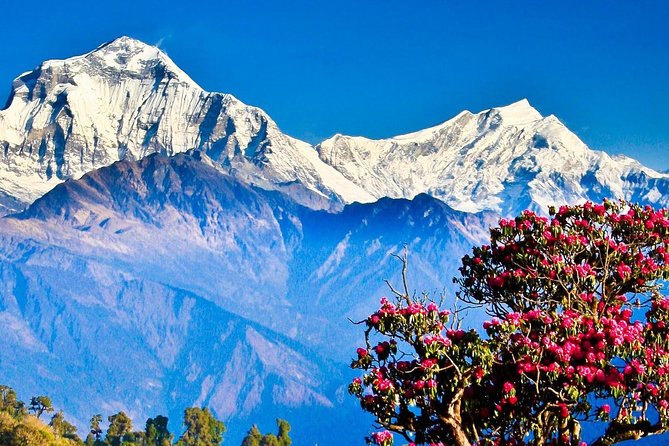 1 ghorepani poon hill trek 6 Ghorepani Poon Hill Trek