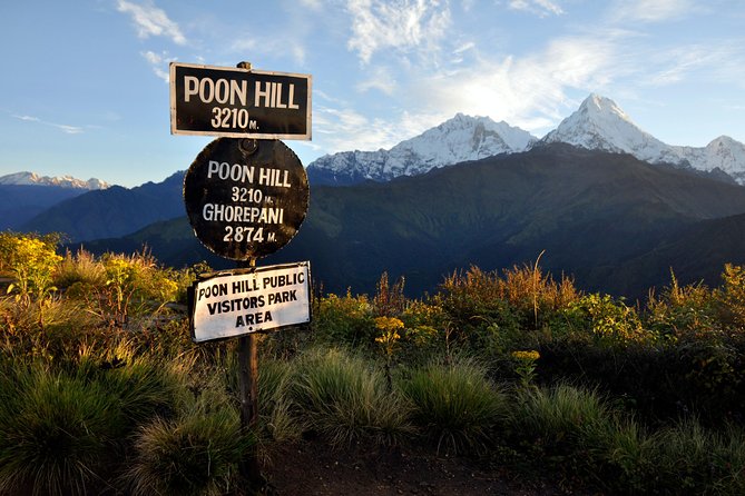 Ghorepani Poonhill Trek 5 Days From Pokhara