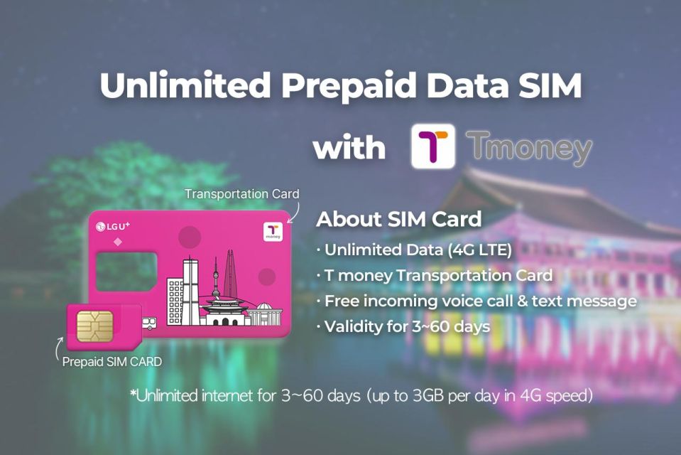 1 gimpo airport traveler sim and t money transportation card Gimpo Airport: Traveler SIM and T-money Transportation Card